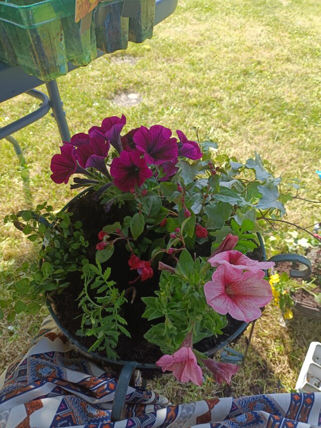 Gardening, Green Thumbs, Garden, Potting, Planting, Hanging Baskets, Tubs and Pots, Patio Tubs, Doorsign, Rosebank, Handmade, Do It Yourself, Acrylic Paints, Signwriting, 