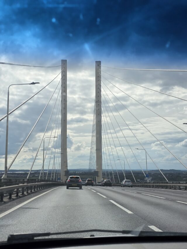 Dogtember, Saltdean Lido, Dog Swimming Sessions, Charity Fundraising, Brighton, Dogtember Sessions, Theodore, Chow Chow, 