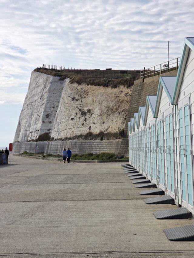 Dogtember, Saltdean Lido, Dog Swimming Sessions, Charity Fundraising, Brighton, Dogtember Sessions, Theodore, Chow Chow, 