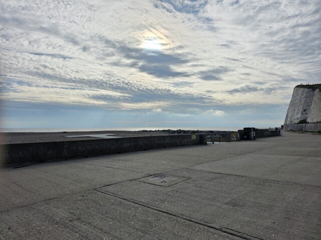 Dogtember, Saltdean Lido, Dog Swimming Sessions, Charity Fundraising, Brighton, Dogtember Sessions, Theodore, Chow Chow, 