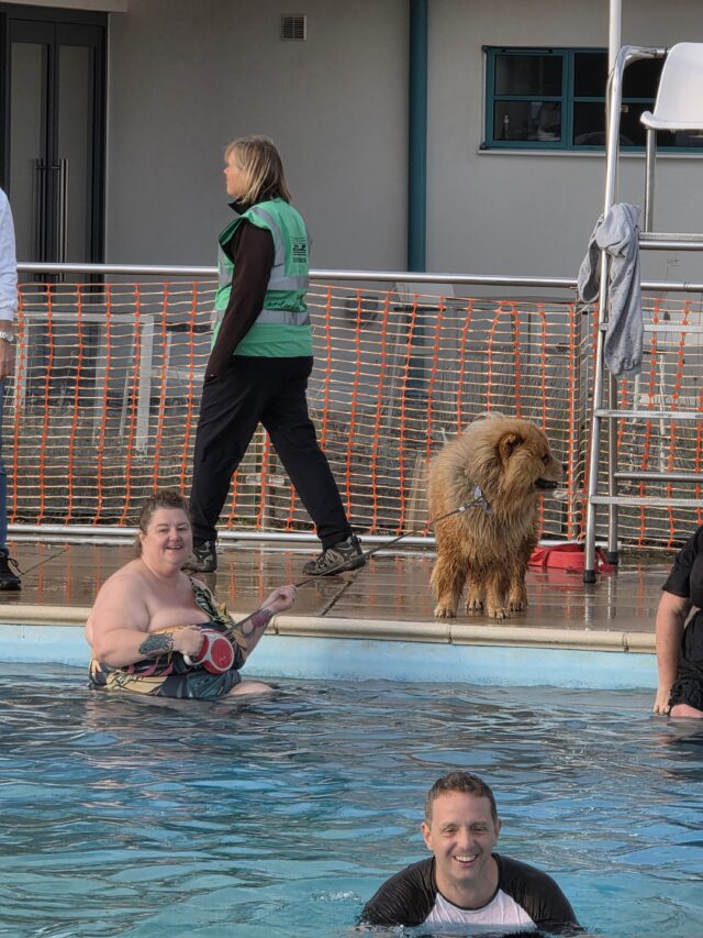 Dogtember, Saltdean Lido, Dog Swimming Sessions, Charity Fundraising, Brighton, Dogtember Sessions, Theodore, Chow Chow, 
