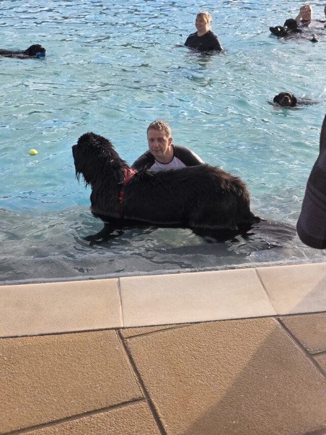 Dogtember, Saltdean Lido, Dog Swimming Sessions, Charity Fundraising, Brighton, Dogtember Sessions, Theodore, Chow Chow, 