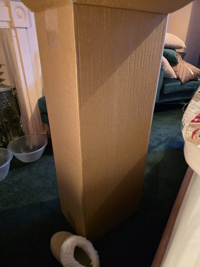 Shark Glam Multistyler, Curly Hair, Curly Hair Styler, Dyson Airstyler, Straight Hair, Curly Hair Issues